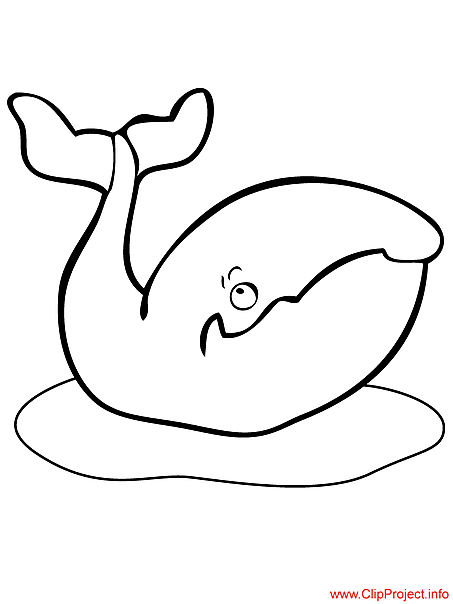 Whale coloring page