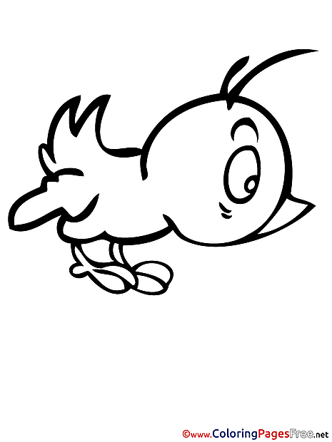 Bird Spring Coloring Pages download