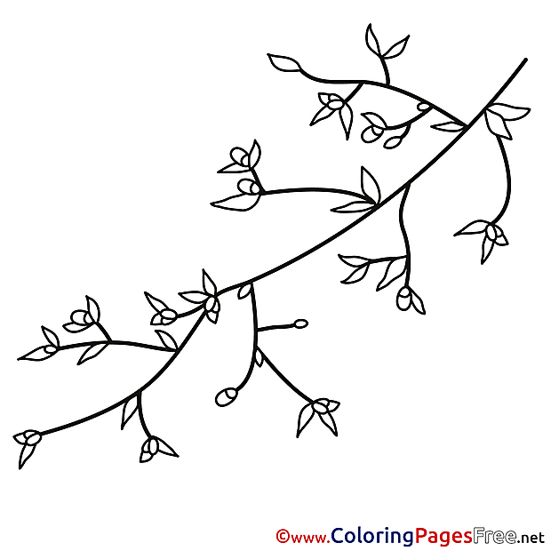 Branch download Spring Coloring Pages