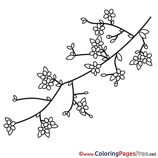 Branch Spring Colouring Sheet free