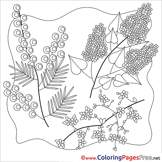 Children Spring Colouring Page Flowers