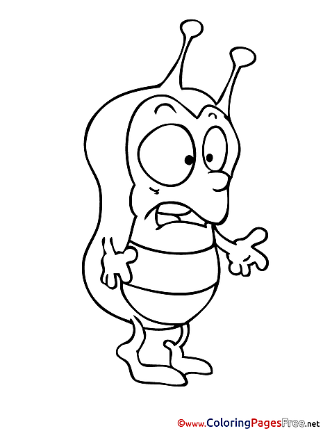 Cockroach printable Coloring Pages Spring