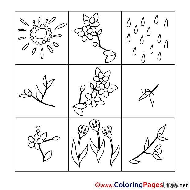 Coloring Sheets Spring free Flowers