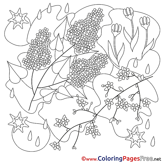 Ffor Kids Spring Flowers Colouring Page