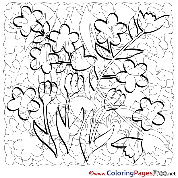 Flowers Coloring Pages Spring