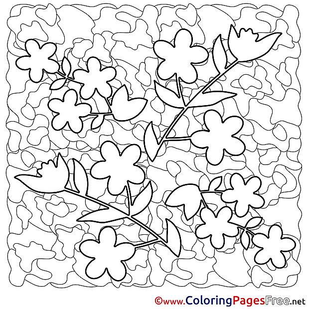 Flowers free Colouring Page Spring