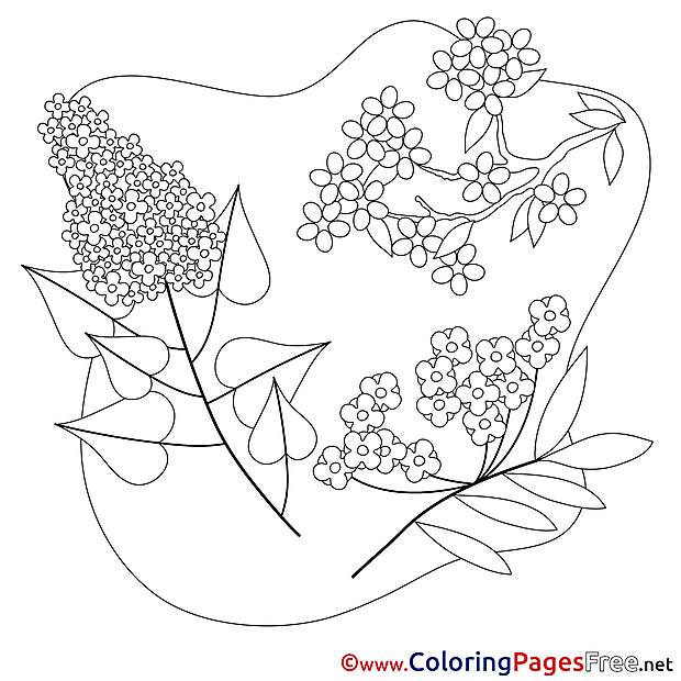 For Kids Spring Colouring Page Flowers free