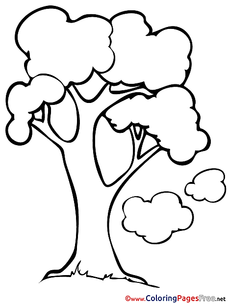 Free Tree Colouring Sheet download Spring