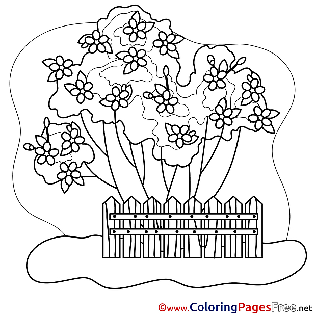 Front Garden free Spring Coloring Sheets