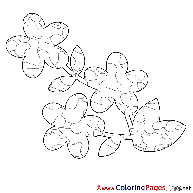 Illustration Flower Spring Colouring Sheet free
