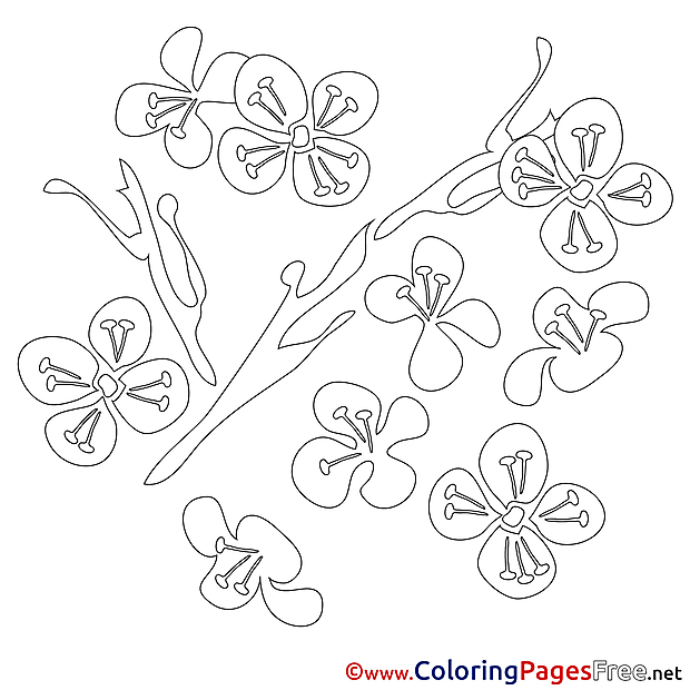 Nenuphar Coloring Pages Spring