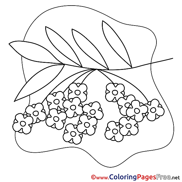 Rowan Coloring Pages Spring