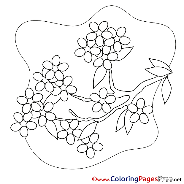 Rowan free Colouring Page Spring