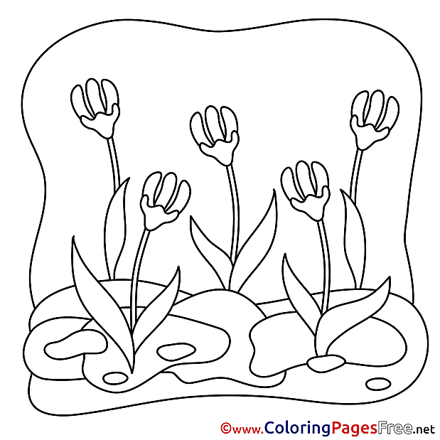 Spring free Flowers Coloring Pages