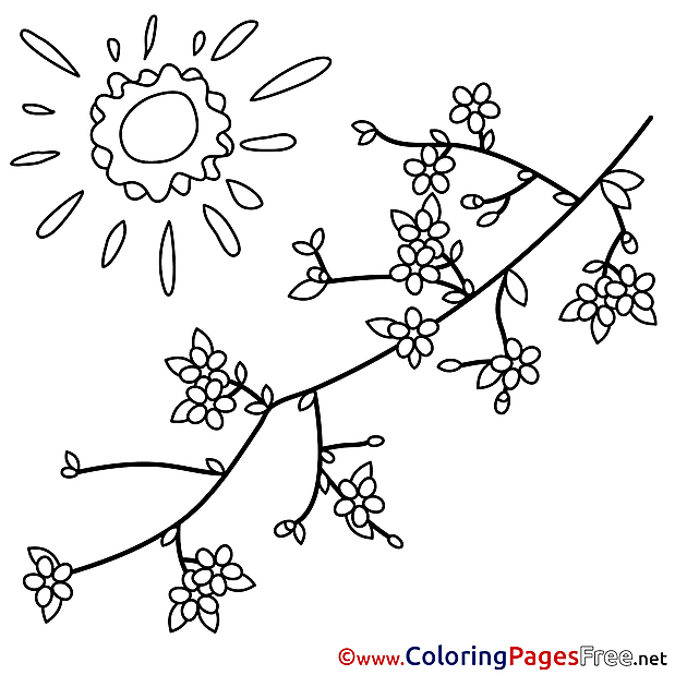 Spring Sun Colouring Sheet free