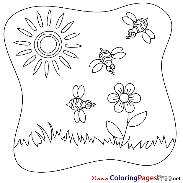 Bees Sun download Summer Coloring Pages