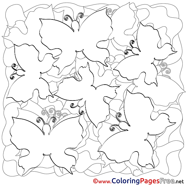 Colouring Page Butterflies Summer free