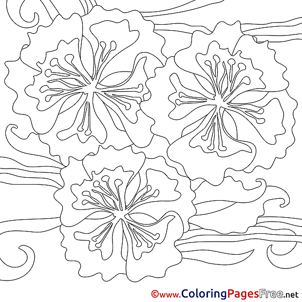 Flowers printable Coloring Pages Summer
