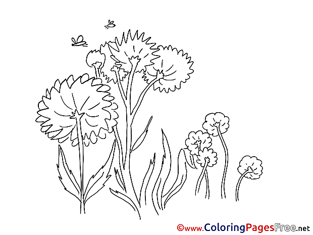 Flowers Summer free Coloring Pages