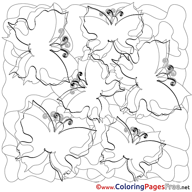 For Kids Summer Butterflies Colouring Page