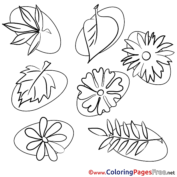 Leaves for Kids Summer Colouring Page