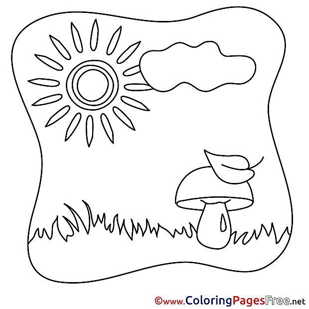 Mushroom Coloring Sheets Grass Summer free