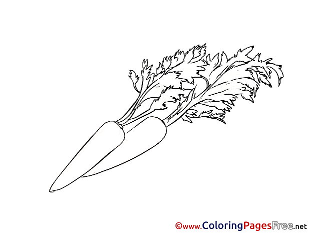 Carrots download printable Coloring Pages