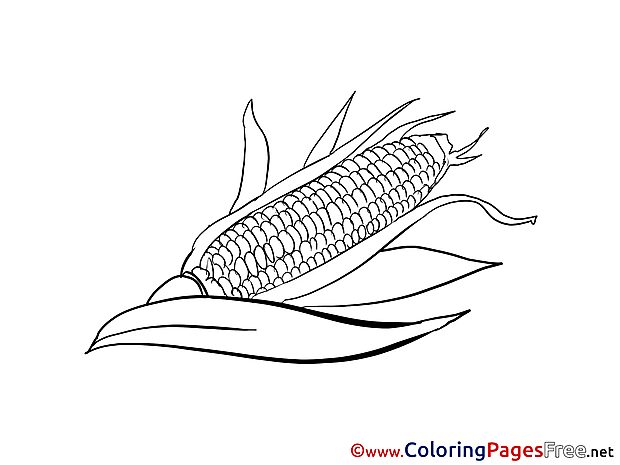 Corn Coloring Sheets download free