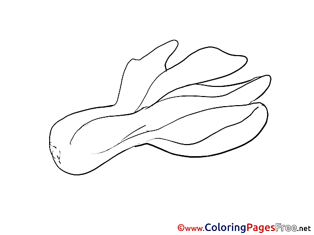Free Colouring Page download Vegetable