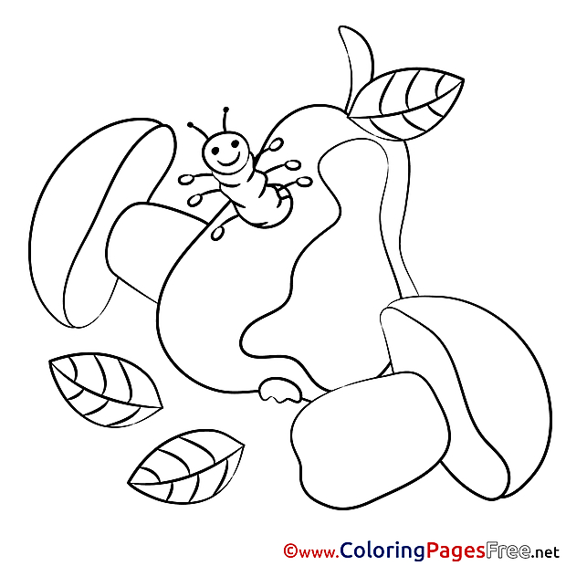 Mushrooms printable Coloring Pages for free