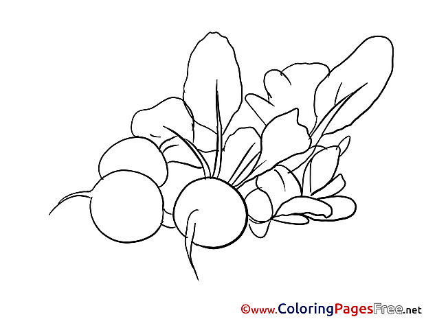 Radish Children Coloring Pages free