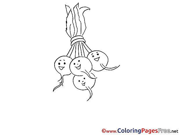 Radish Coloring Pages for free