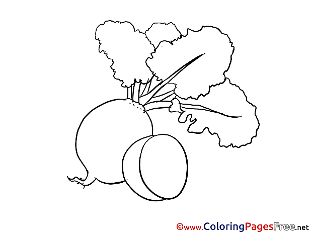 Radish download printable Coloring Pages