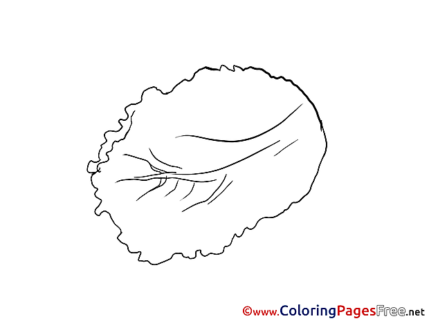 Salad Coloring Sheets download free