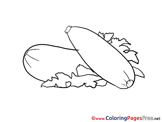 Zucchini Coloring Pages for free