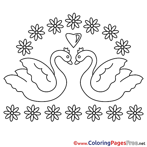 Swans Flowers Wedding Colouring Sheet download free