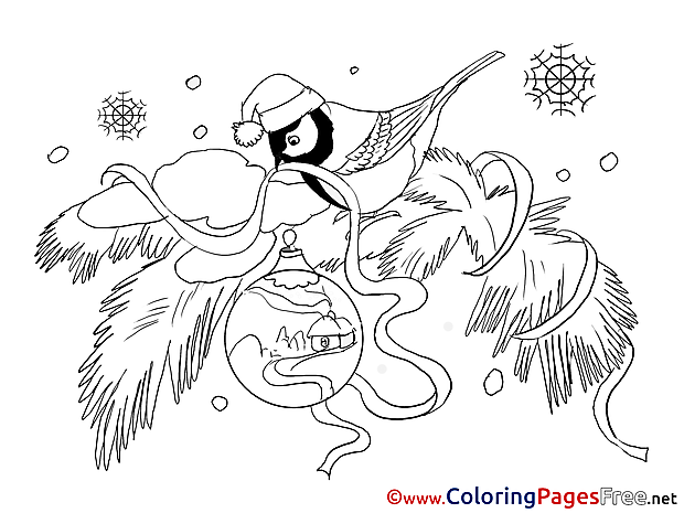 Bullfinch Winter Colouring Page for Kids