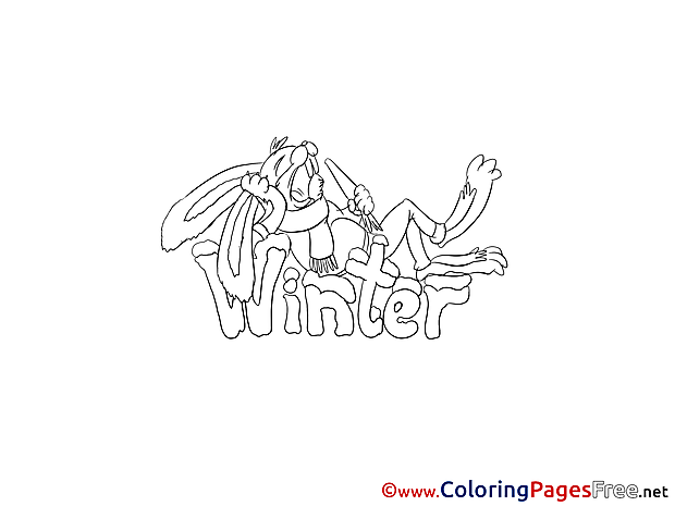 Bunny eats Carrot Winter Coloring Pages free