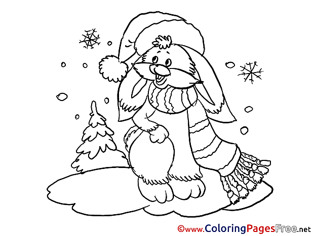 Hare Winter free Colouring Page