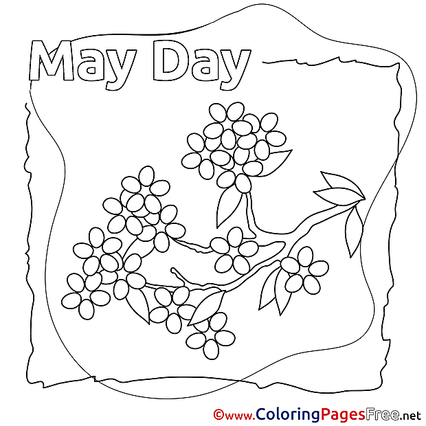 Lily printable Workers Day Coloring Sheets