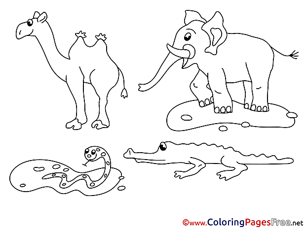 Animals free Colouring Page download