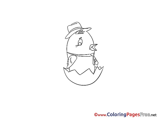 Chicken Coloring Sheets download free