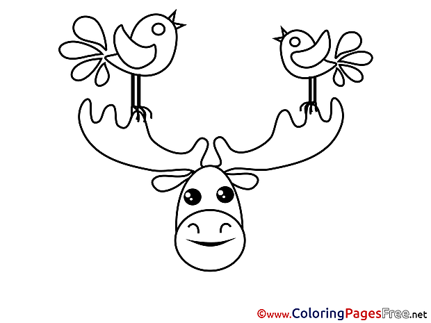 Deer Birds free printable Coloring Sheets