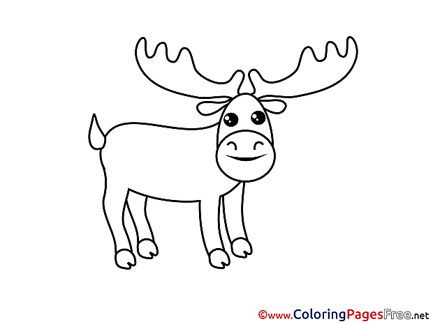 Deer download Colouring Sheet free