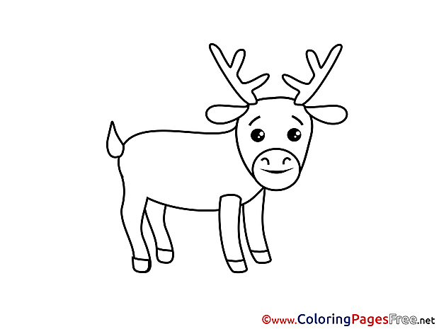 Deer download printable Coloring Pages