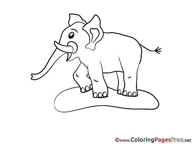 Elephant Coloring Pages for free
