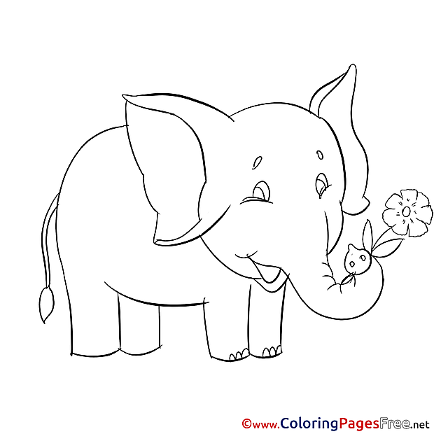 Elephant Coloring Sheets download free