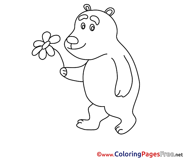 Flower Bear Coloring Pages for free