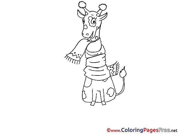 Giraffe in Scarf Colouring Sheet download free