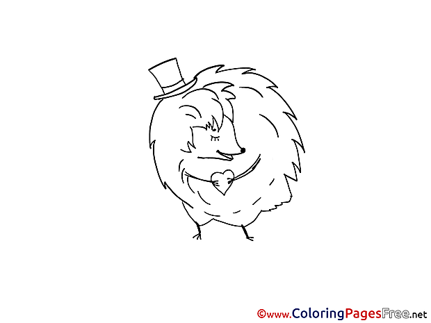 Hedgehog download Colouring Page for Children
